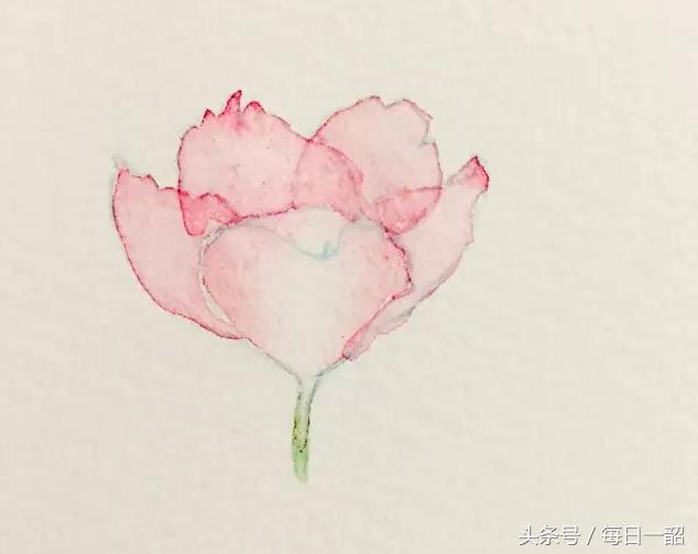 简单画樱花画法，樱花那么美，你想画吗