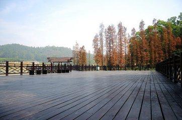 番禺大夫山森林公园，探寻天然氧吧广州大夫山森林公园（大夫山森林公园真的太大了）