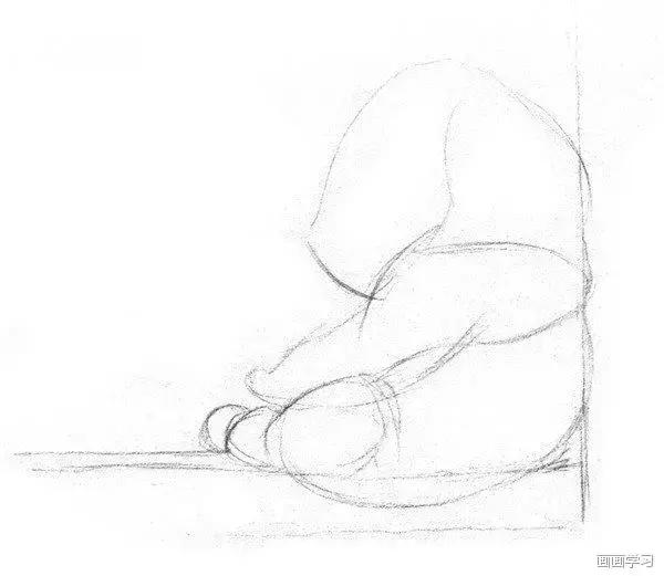 小猫素描简单画法，动物素描入门基础训练