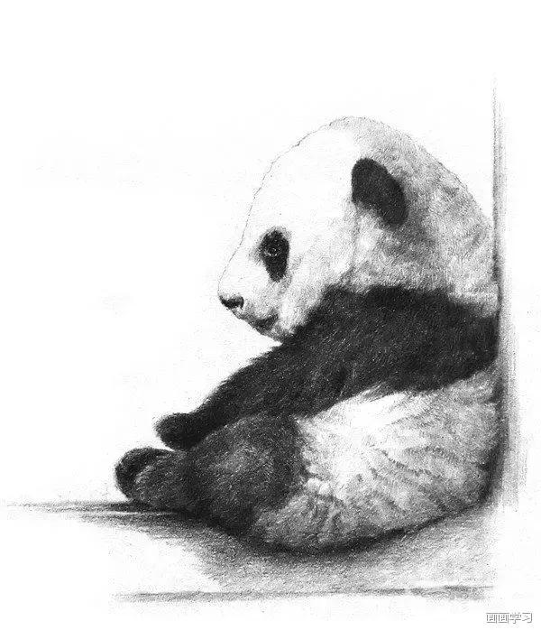 小猫素描简单画法，动物素描入门基础训练