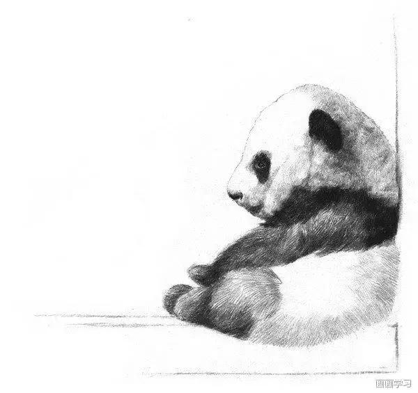 小猫素描简单画法，动物素描入门基础训练