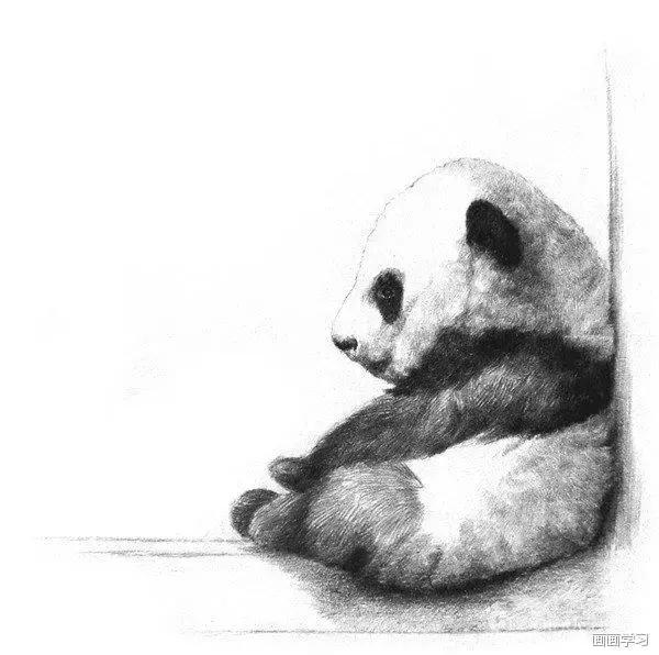 小猫素描简单画法，动物素描入门基础训练