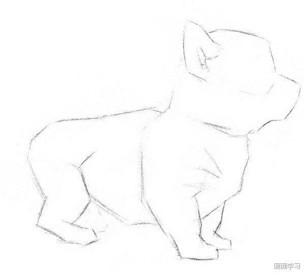 小猫素描简单画法，动物素描入门基础训练