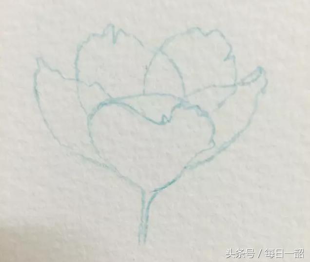 简单画樱花画法，樱花那么美，你想画吗