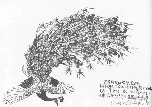 花鸟画作品欣赏，立体横幅小写意花鸟画100幅（精品花鸟画30幅，欣赏）