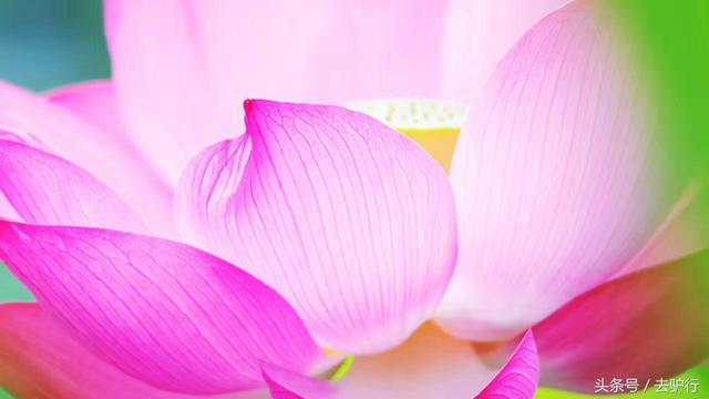 圆明园门票多少钱一张，颐和园圆明园门票价格表