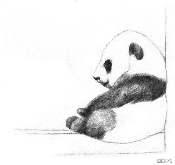 小猫素描简单画法，动物素描入门基础训练