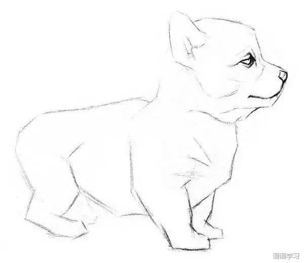 小猫素描简单画法，动物素描入门基础训练