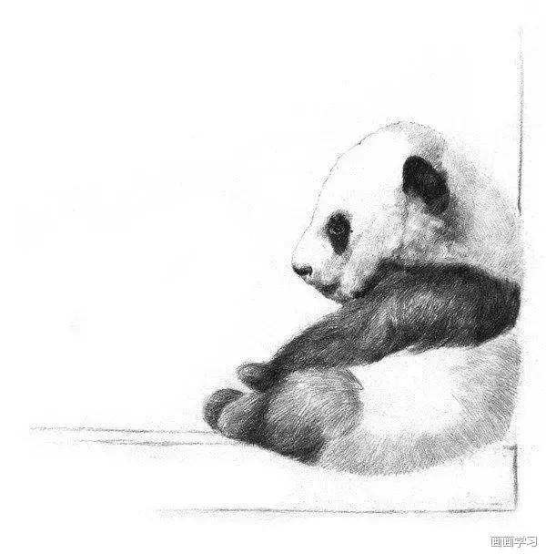 小猫素描简单画法，动物素描入门基础训练