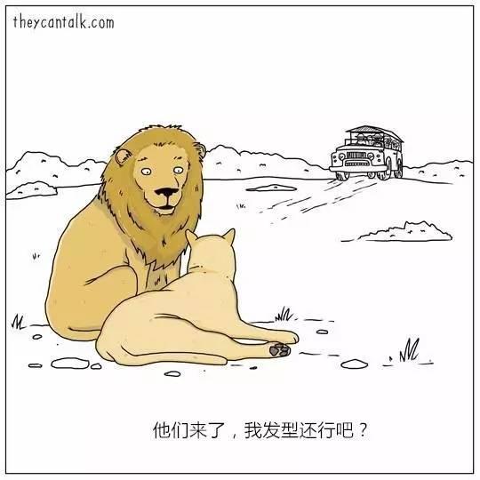 动物会说话，会怎样呢？