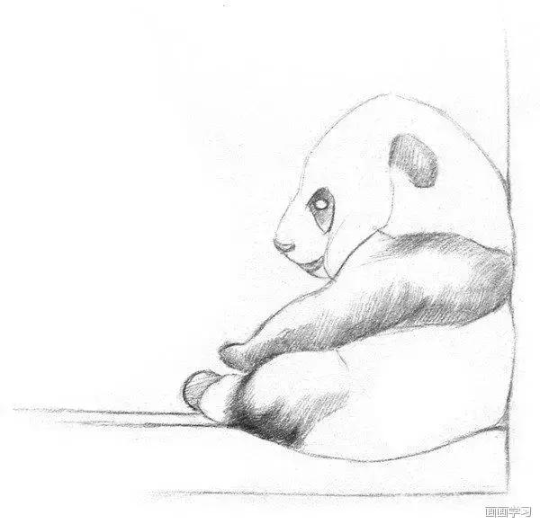 小猫素描简单画法，动物素描入门基础训练