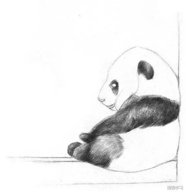 小猫素描简单画法，动物素描入门基础训练