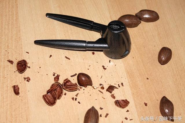 碧根果是山核桃吗，碧根果和山核桃的口感区别（碧根果大战鲍鱼果）