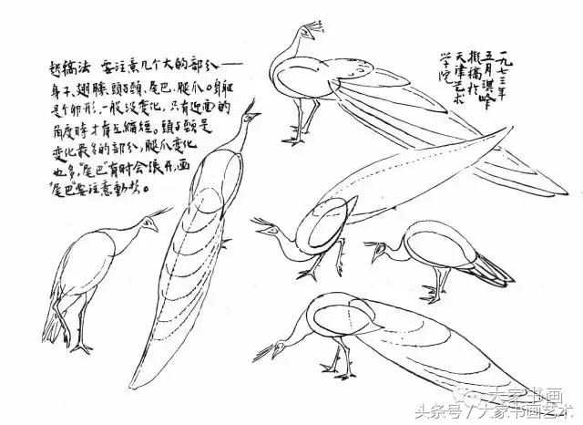 花鸟画作品欣赏，立体横幅小写意花鸟画100幅（精品花鸟画30幅，欣赏）
