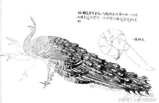 花鸟画作品欣赏，立体横幅小写意花鸟画100幅（精品花鸟画30幅，欣赏）