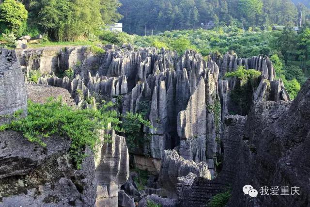 我喜欢的旅游胜地，我喜欢的旅游胜地重庆