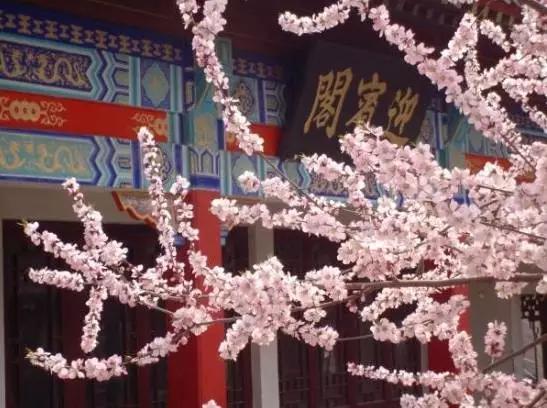 天津旅游景点推荐，天津旅游必去十大景点推荐最新