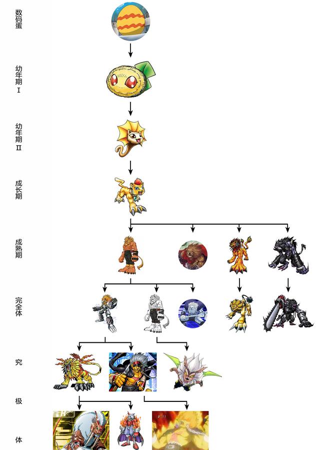 恶狼兽和界王兽实力谁最强呢，狮子兽又双叒叕死了