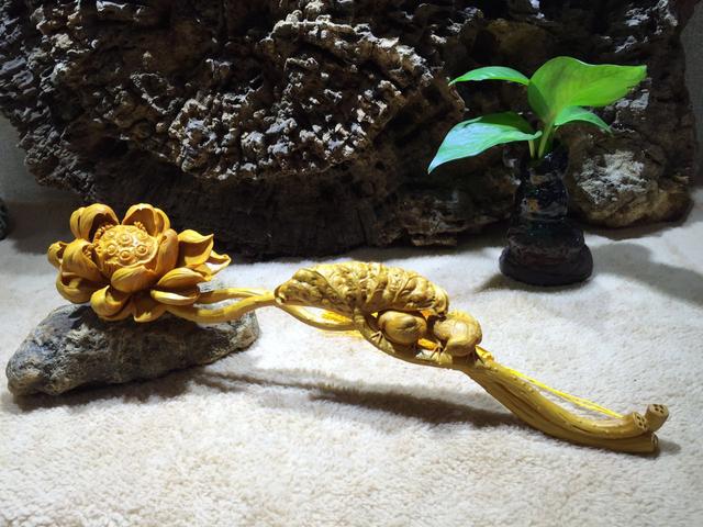 小叶黄杨是什么木，小叶黄杨---光洁如丝