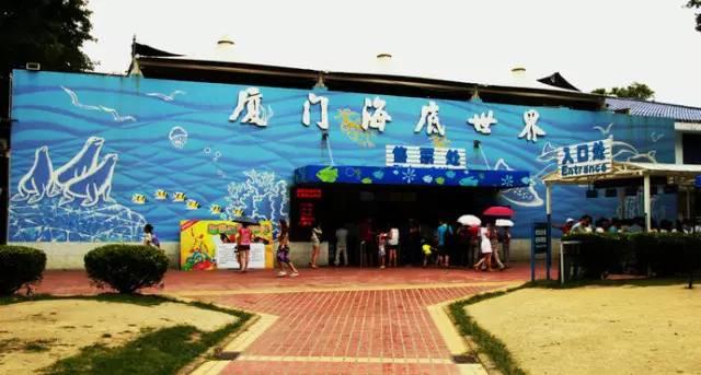 厦门鼓浪屿门票，去鼓浪屿最重要的是看什么（带你高效玩转厦门。）