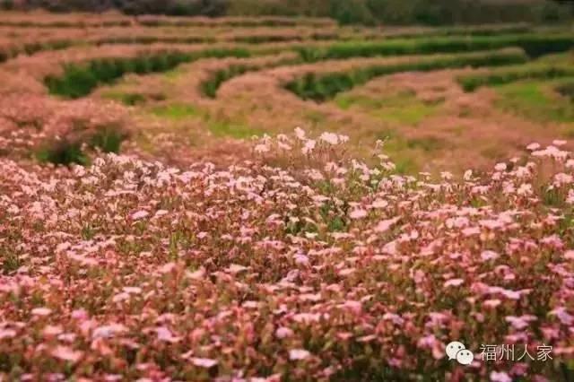 福州是世界几线城市，中国的13座“世界二线城市”