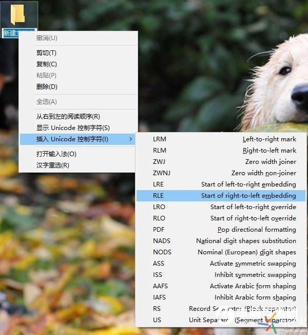教你一招巧妙隐藏电脑文件，电脑文件夹里面的文件怎么隐藏