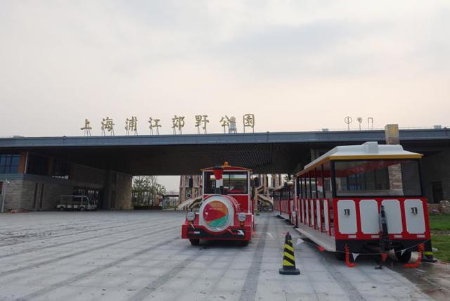 上海浦江郊野公园美如画，浦江郊野公园姹紫嫣红……