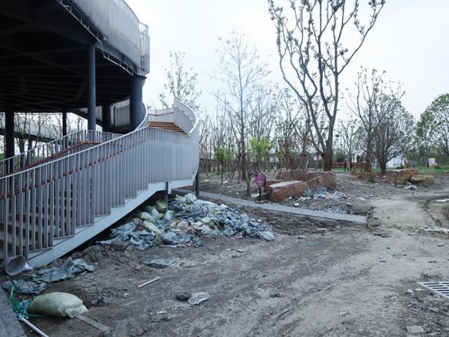 上海浦江郊野公园美如画，浦江郊野公园姹紫嫣红……