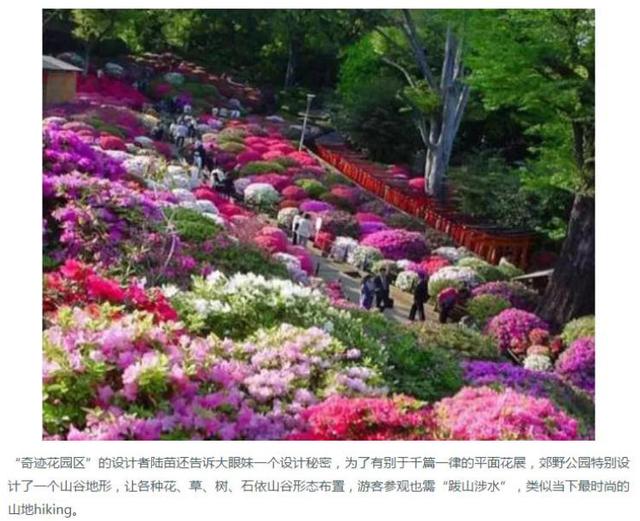 上海浦江郊野公园美如画，浦江郊野公园姹紫嫣红……