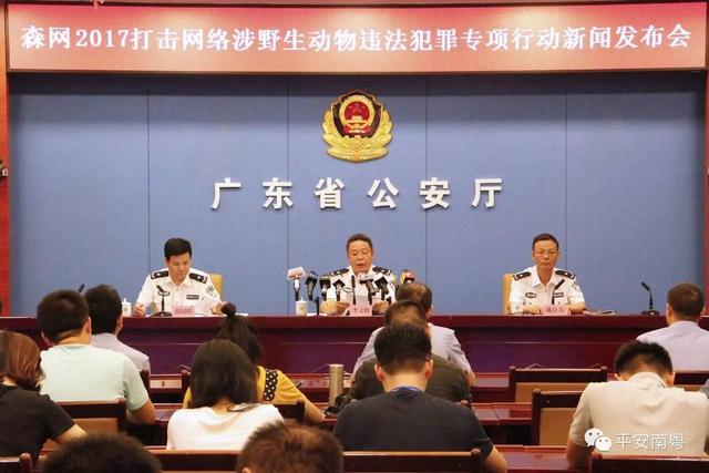 野生动物有哪些，六种野生动物（这些野生动物你们都见过么）