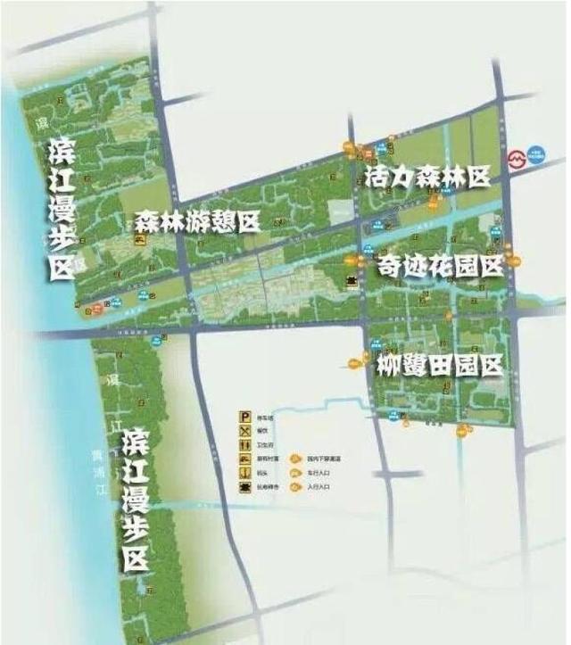 上海浦江郊野公园美如画，浦江郊野公园姹紫嫣红……