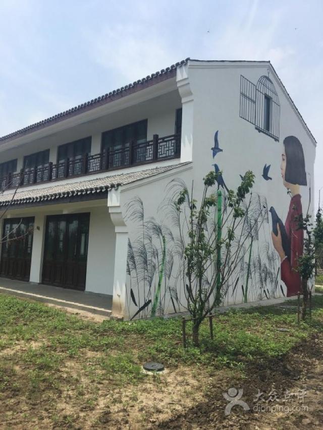 上海浦江郊野公园美如画，浦江郊野公园姹紫嫣红……