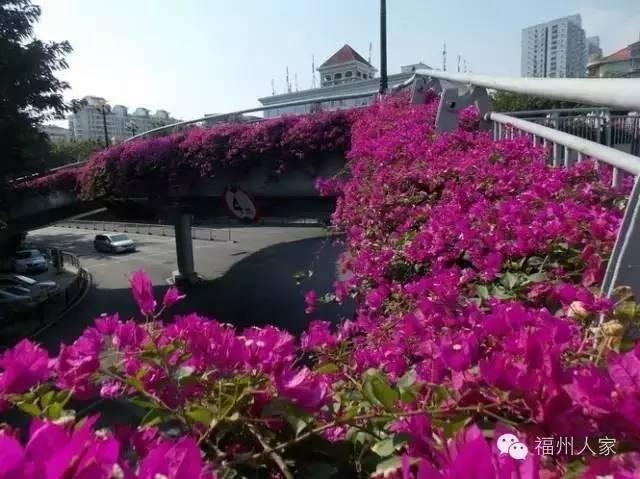 福州是世界几线城市，中国的13座“世界二线城市”