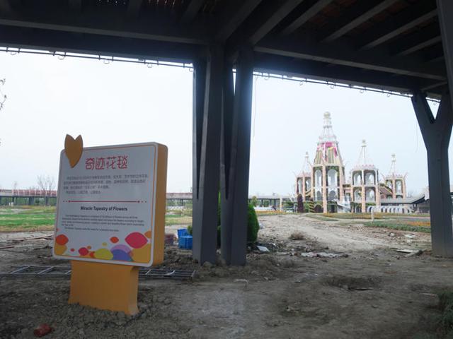 上海浦江郊野公园美如画，浦江郊野公园姹紫嫣红……