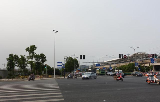 上海浦江郊野公园美如画，浦江郊野公园姹紫嫣红……