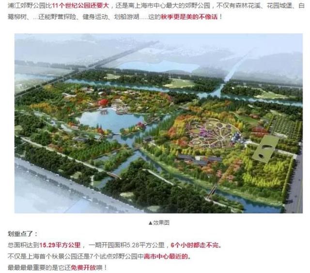 上海浦江郊野公园美如画，浦江郊野公园姹紫嫣红……