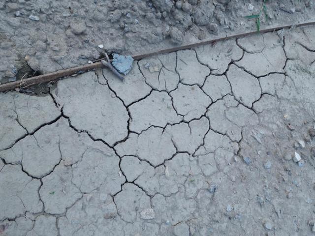 上海浦江郊野公园美如画，浦江郊野公园姹紫嫣红……