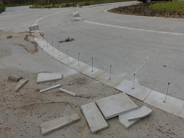 上海浦江郊野公园美如画，浦江郊野公园姹紫嫣红……