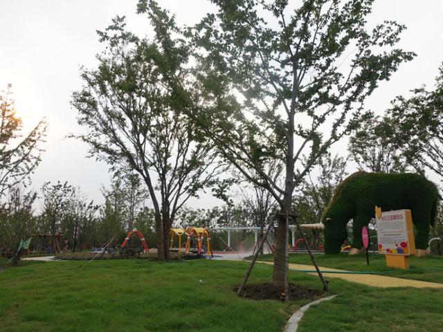 上海浦江郊野公园美如画，浦江郊野公园姹紫嫣红……