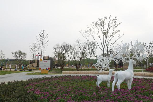 上海浦江郊野公园美如画，浦江郊野公园姹紫嫣红……