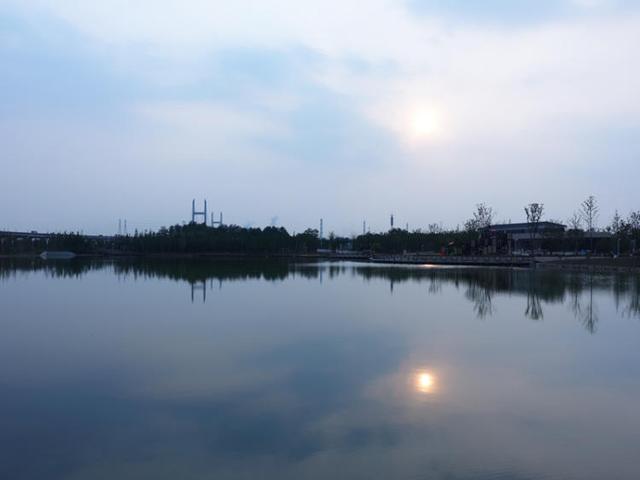 上海浦江郊野公园美如画，浦江郊野公园姹紫嫣红……