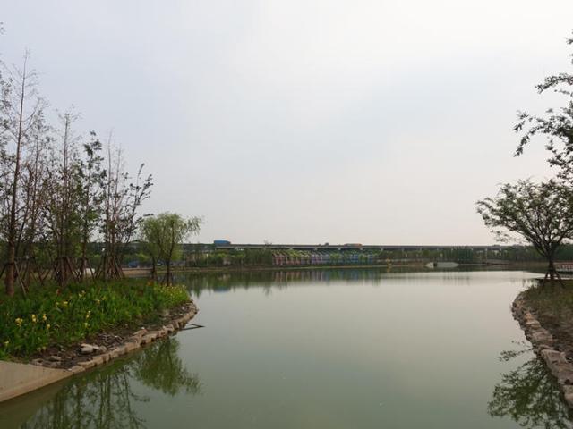 上海浦江郊野公园美如画，浦江郊野公园姹紫嫣红……