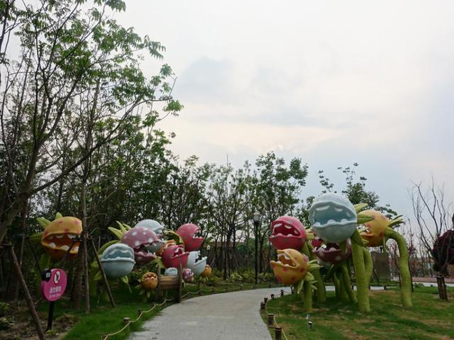 上海浦江郊野公园美如画，浦江郊野公园姹紫嫣红……