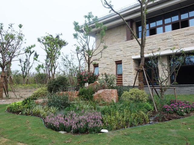 上海浦江郊野公园美如画，浦江郊野公园姹紫嫣红……