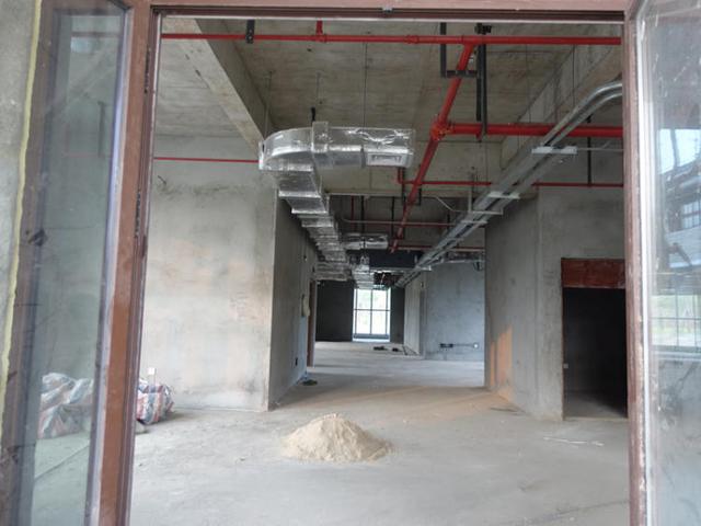 上海浦江郊野公园美如画，浦江郊野公园姹紫嫣红……