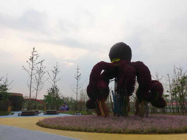 上海浦江郊野公园美如画，浦江郊野公园姹紫嫣红……