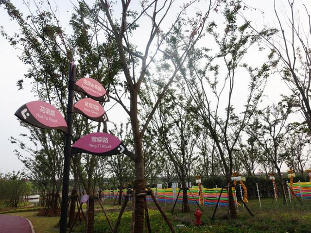 上海浦江郊野公园美如画，浦江郊野公园姹紫嫣红……