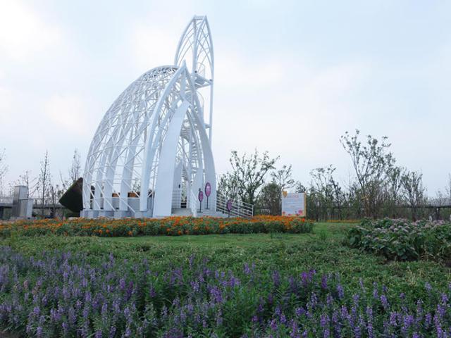 上海浦江郊野公园美如画，浦江郊野公园姹紫嫣红……