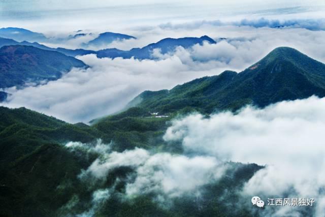 江西赏樱花风景区，走遍江西100县莲花县