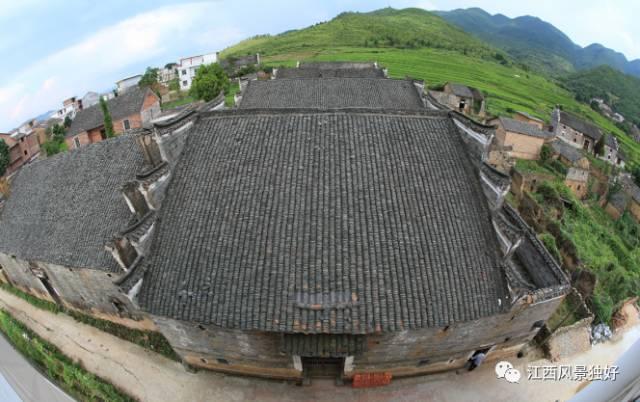 江西赏樱花风景区，走遍江西100县莲花县